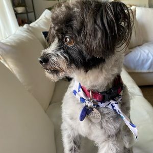 Meet your Posher, Abril